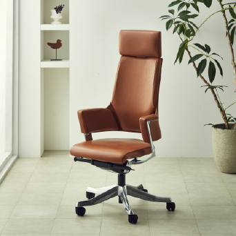 DELPHI Leather