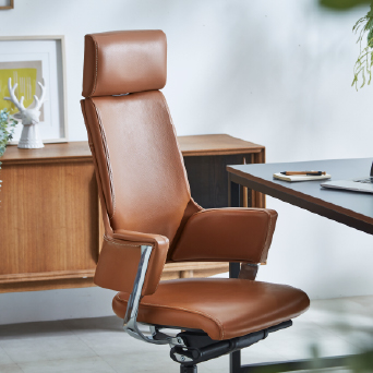 DELPHI Leather