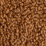 GL-CAMEL